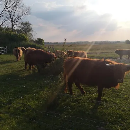 Apartment Meeresblick Strandkörbchen H2 We 19 H